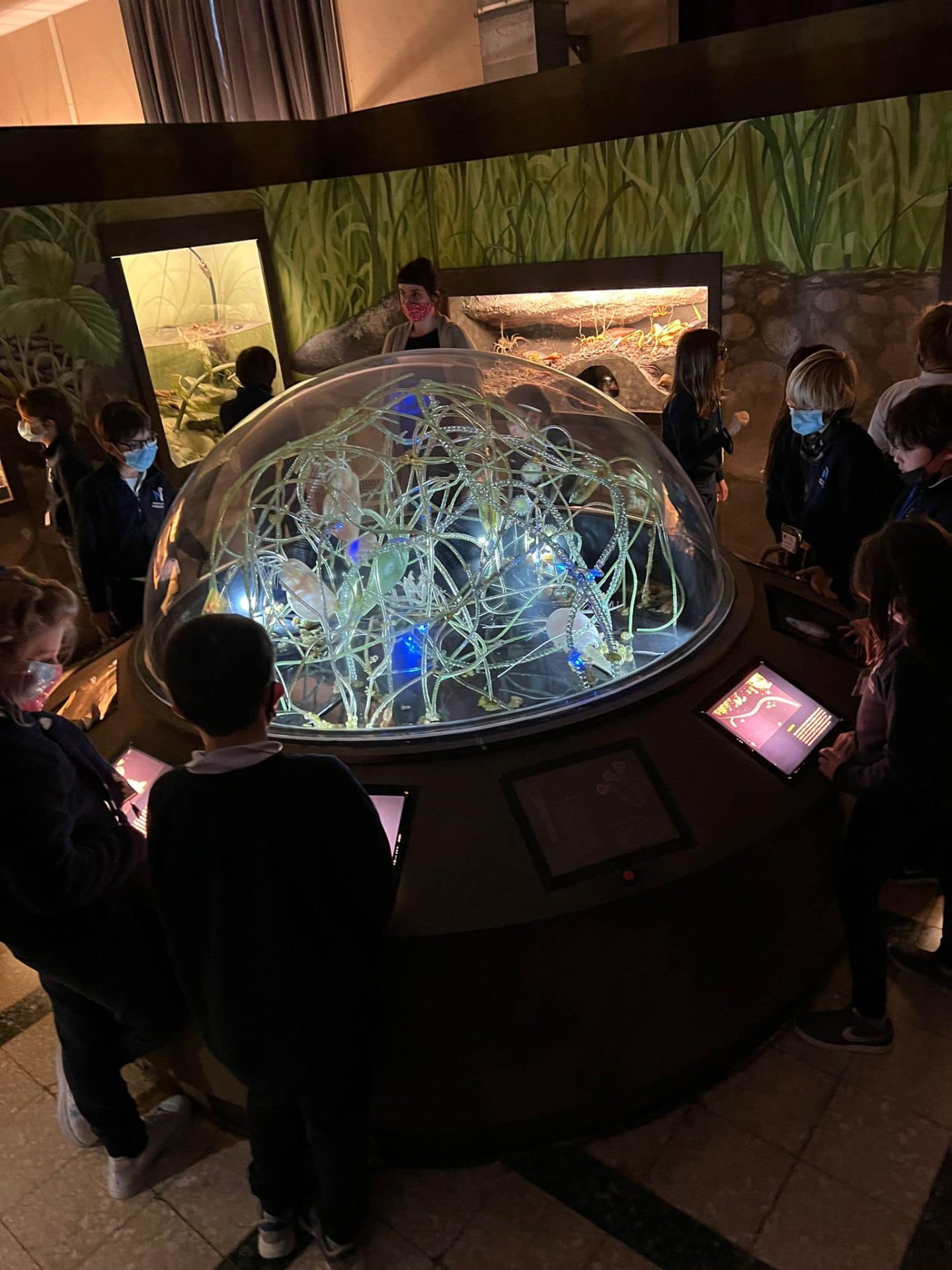 Al momento stai visualizzando Museo di Zoologia
